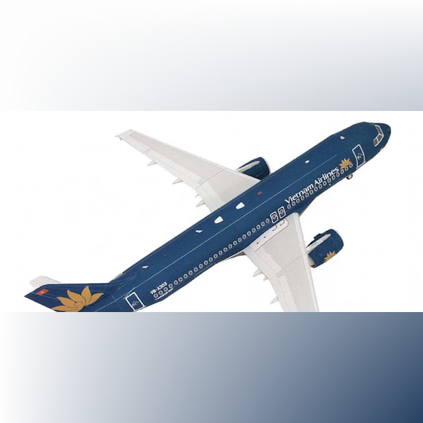 Бумажная модель Авиалайнер Airbus A320 Vietnam Airlines