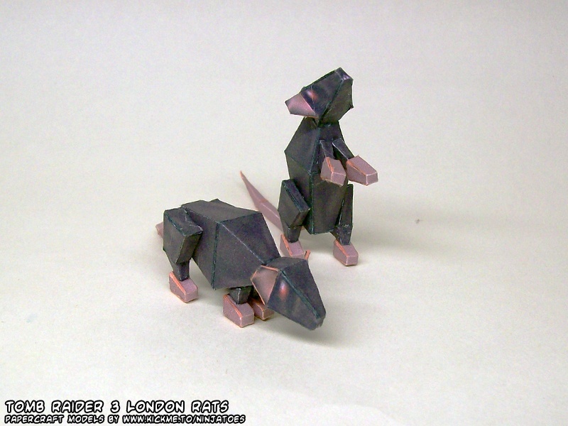 TPL_PAPER_PRODUCT_MODEL_H1