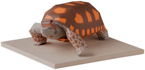 TPL_PAPER_PRODUCT_MODEL_H1