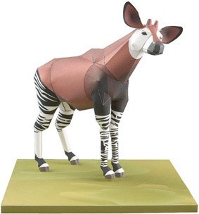 TPL_PAPER_PRODUCT_MODEL_H1