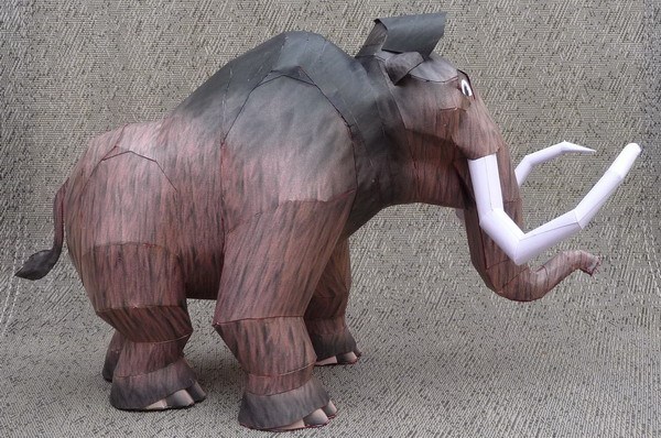 TPL_PAPER_PRODUCT_MODEL_H1