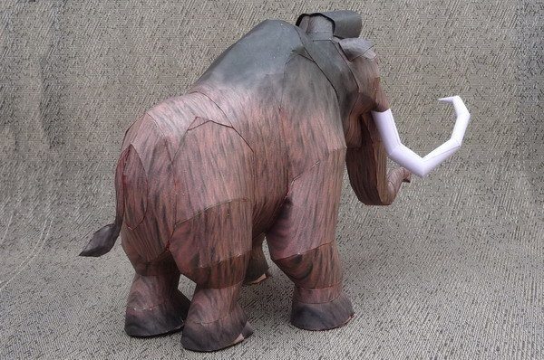 TPL_PAPER_PRODUCT_MODEL_H1