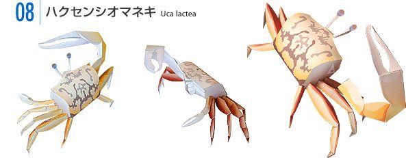 TPL_PAPER_PRODUCT_MODEL_H1