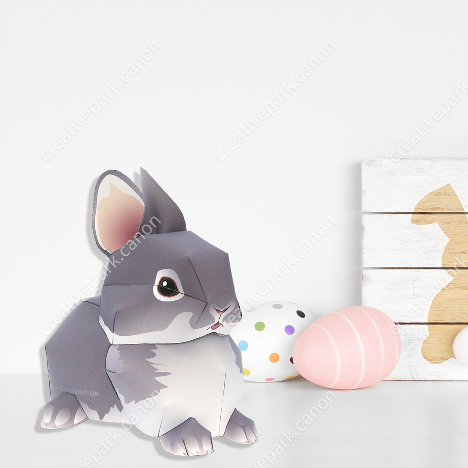 Нидерландский карлик
