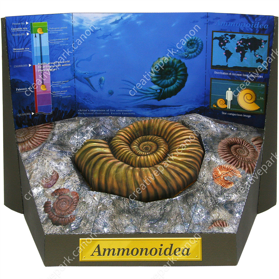 Ископаемый аммонит
