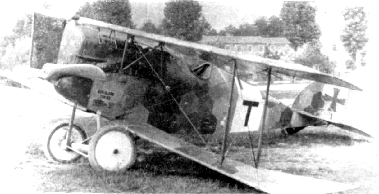 Самолёт Aviatik Berg D.I