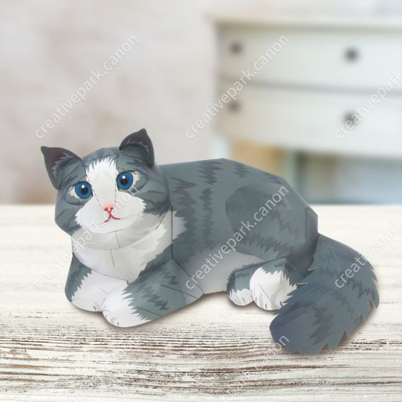 Норвежская лесная кошка
