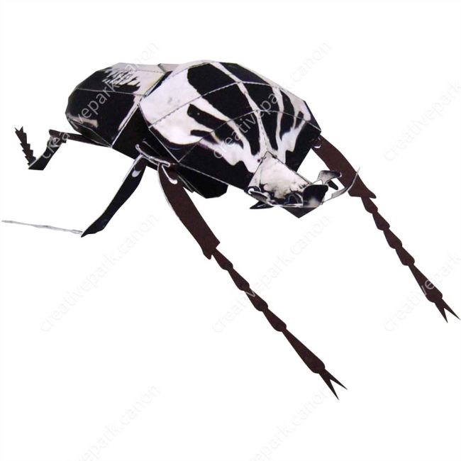 Бумажная модель Жук-голиаф