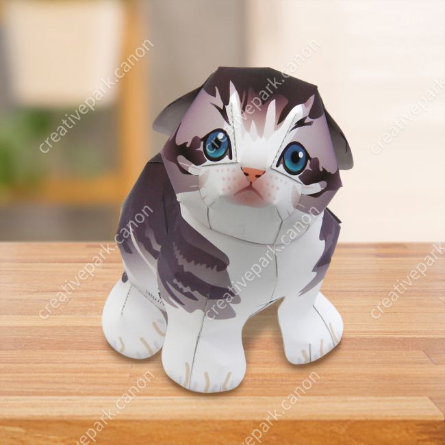 Бумажная модель Шотландская вислоухая кошка