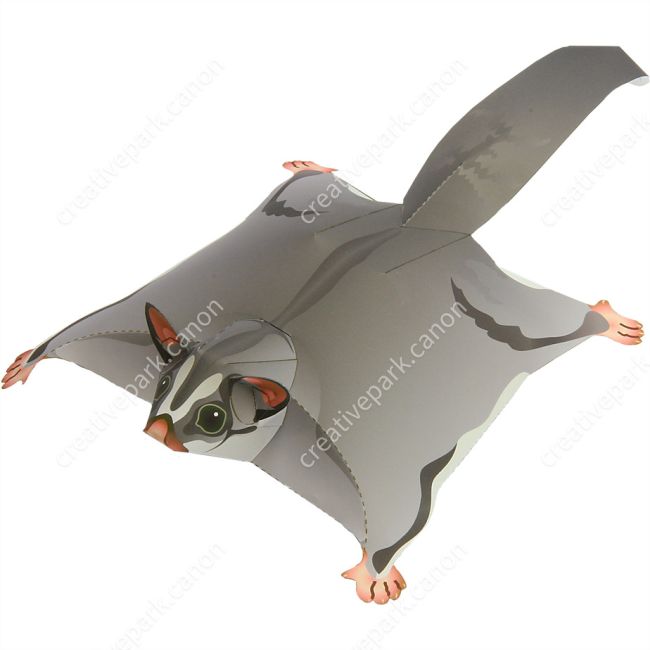 Бумажная модель Сахарная сумчатая летяга