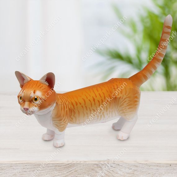 Манчкин